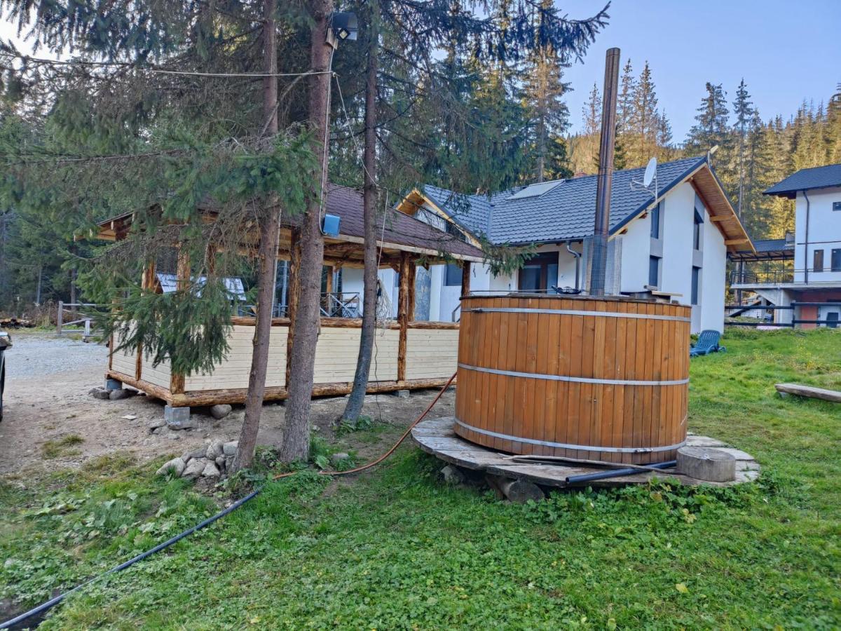 Complex Transalpina Lac Voineasa Exterior foto