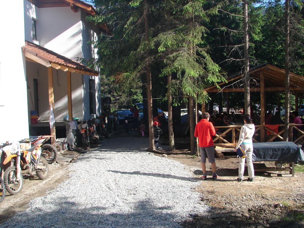 Complex Transalpina Lac Voineasa Exterior foto